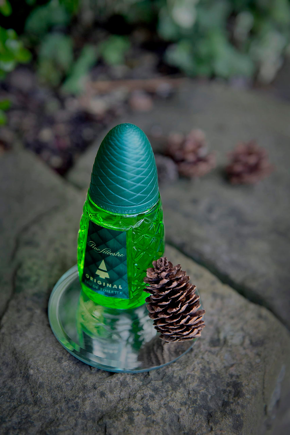 Pino Silvestre Original ingredients-note emphasizes basil, clary sage, tonka bean allure.