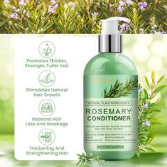 PIPIHUA Rosemary Conditioner ingredient close-up with tea tree promotes scalp freshness.