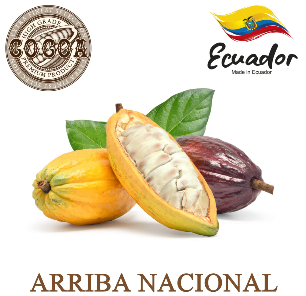 Cosmética casera con Plant Guru manteca cacao Arriba Nacional para cremas y mantecas corporales.