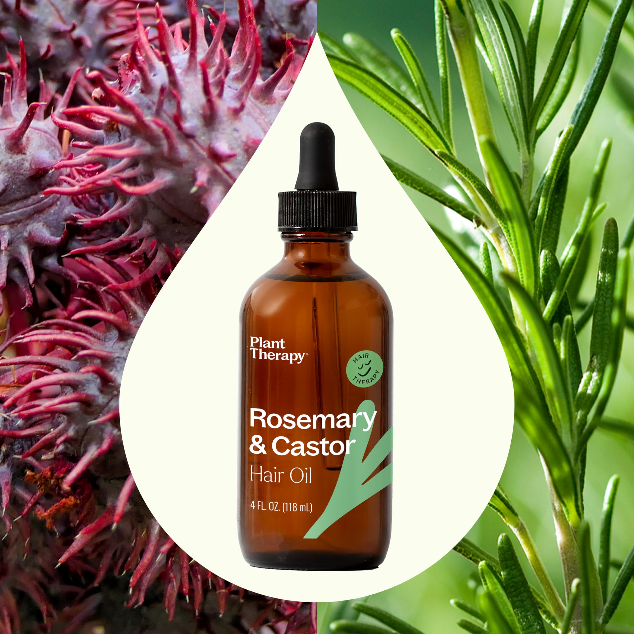 Plant Therapy sweet-almond-oil blend adds moisture for silky-soft strands.