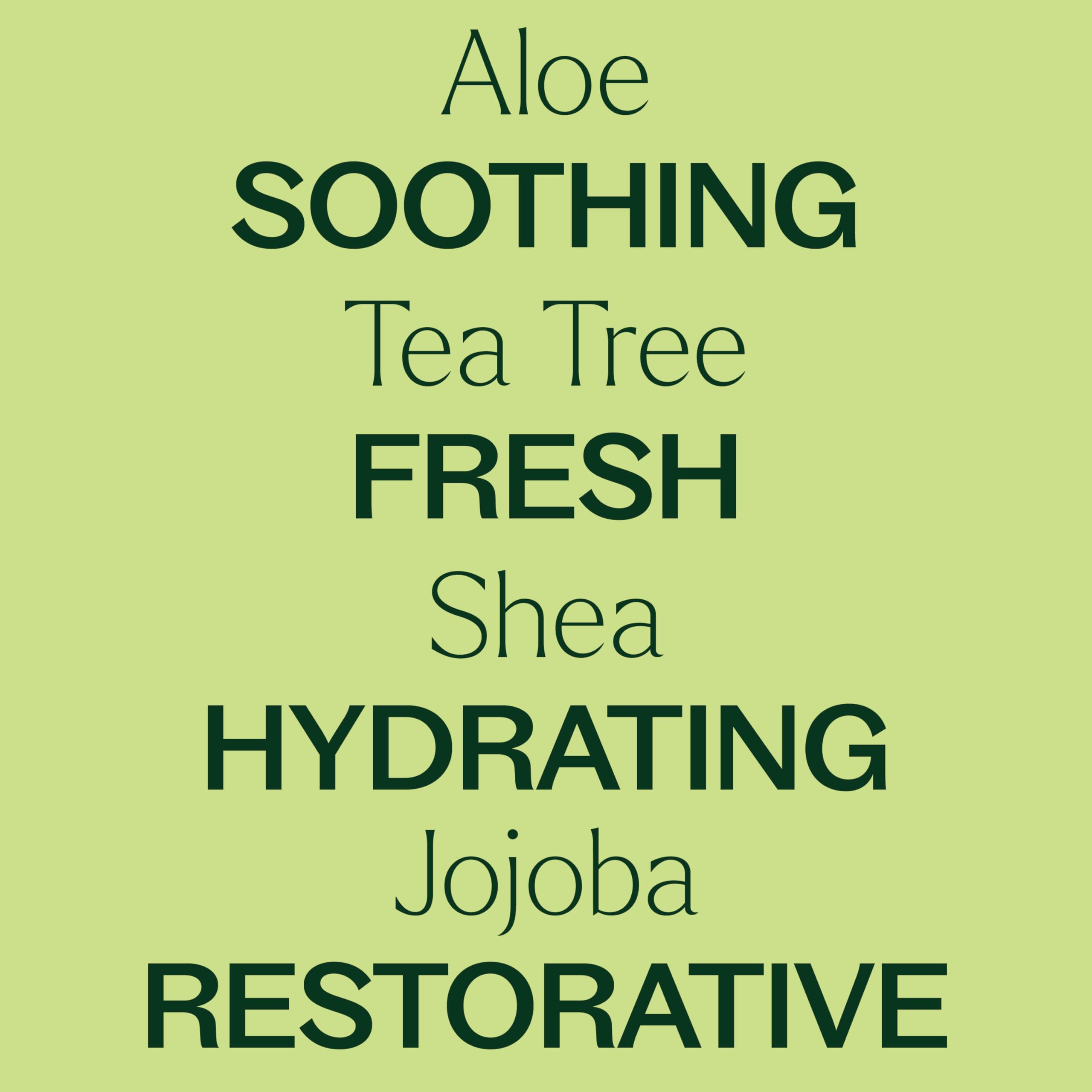 Plant Therapy Tea Tree essential oil scent in lotion