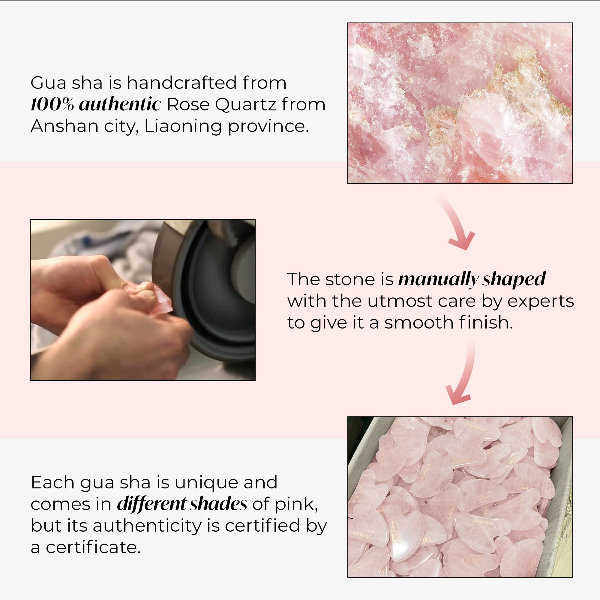 Plantifique Rose Quartz Guasha Tool ebook guide included in package