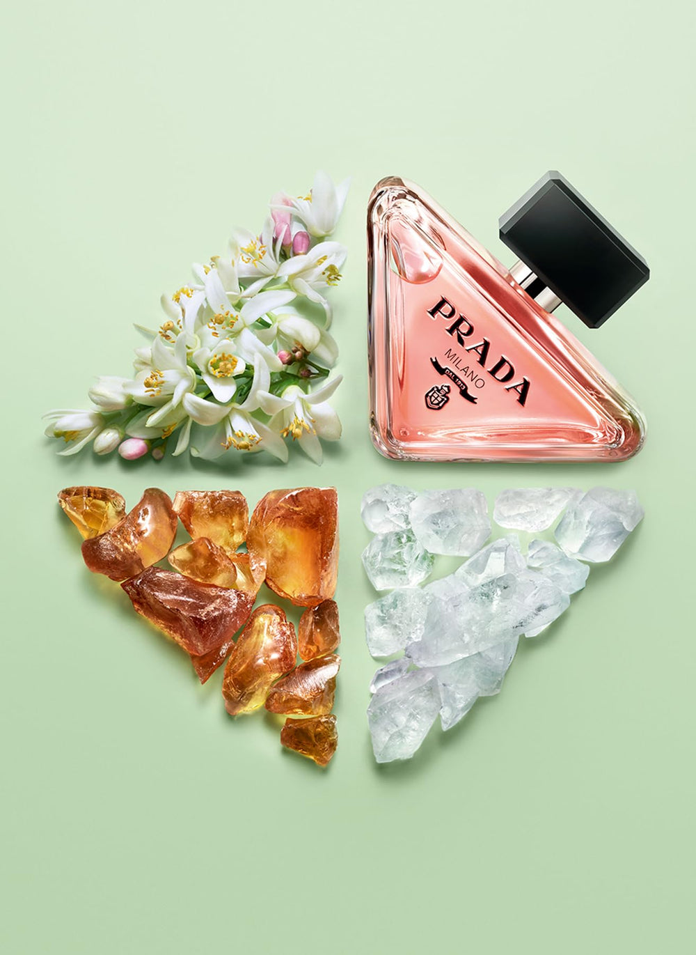 Prada Paradoxe base-notes close-up underscores benzoin, vanilla, and musk warmth.