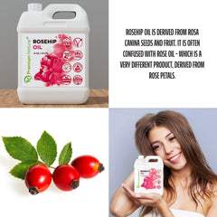 Premium Nature Rosehip Oil massaged into skin for facial hydration and glow