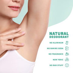 Primal Life Organics Stick Up deodorant bentonite clay ingredients diagram for skin-friendly deodorizing.