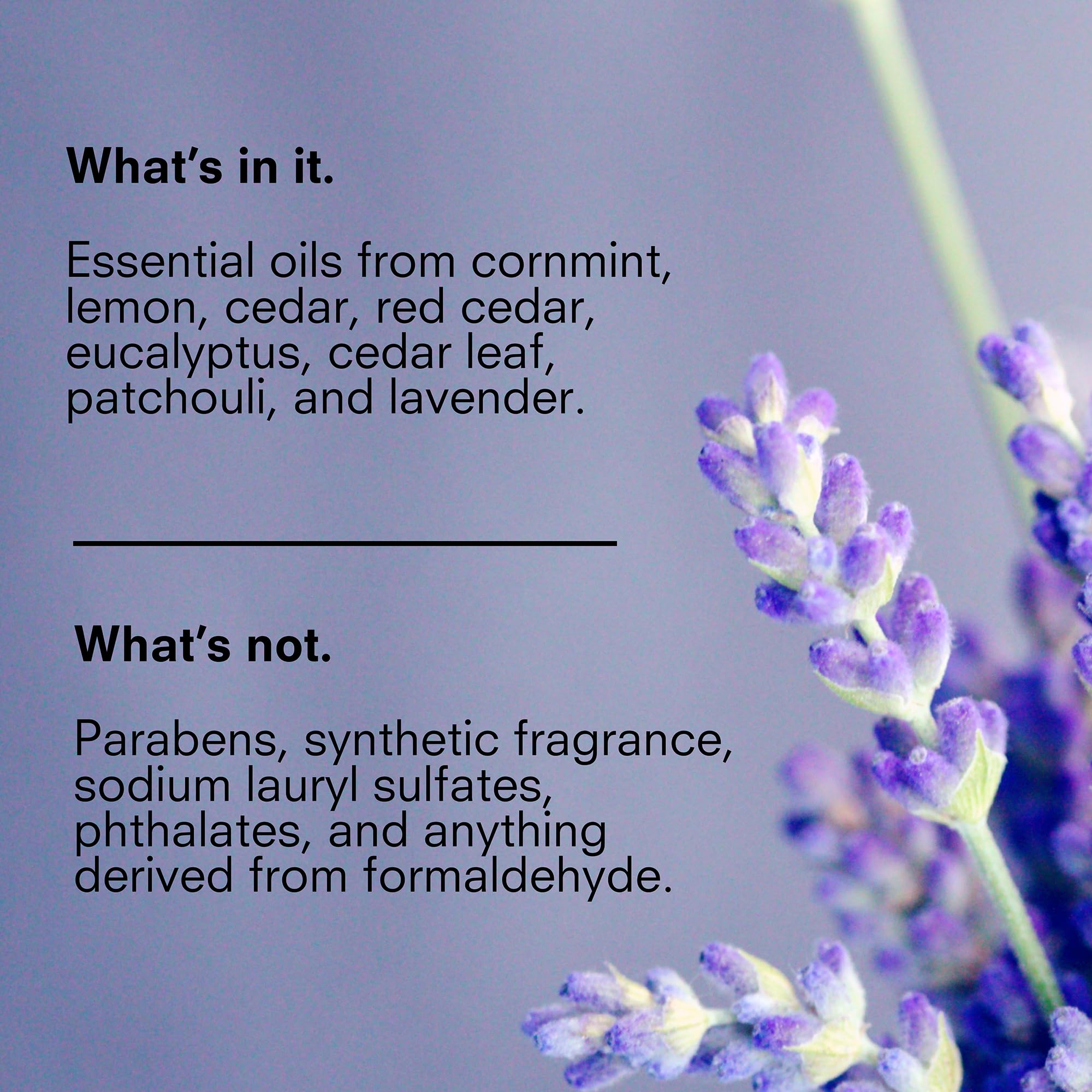 Public Goods Body & Hand Lotion hand-application demonstrates quick absorption on skin.