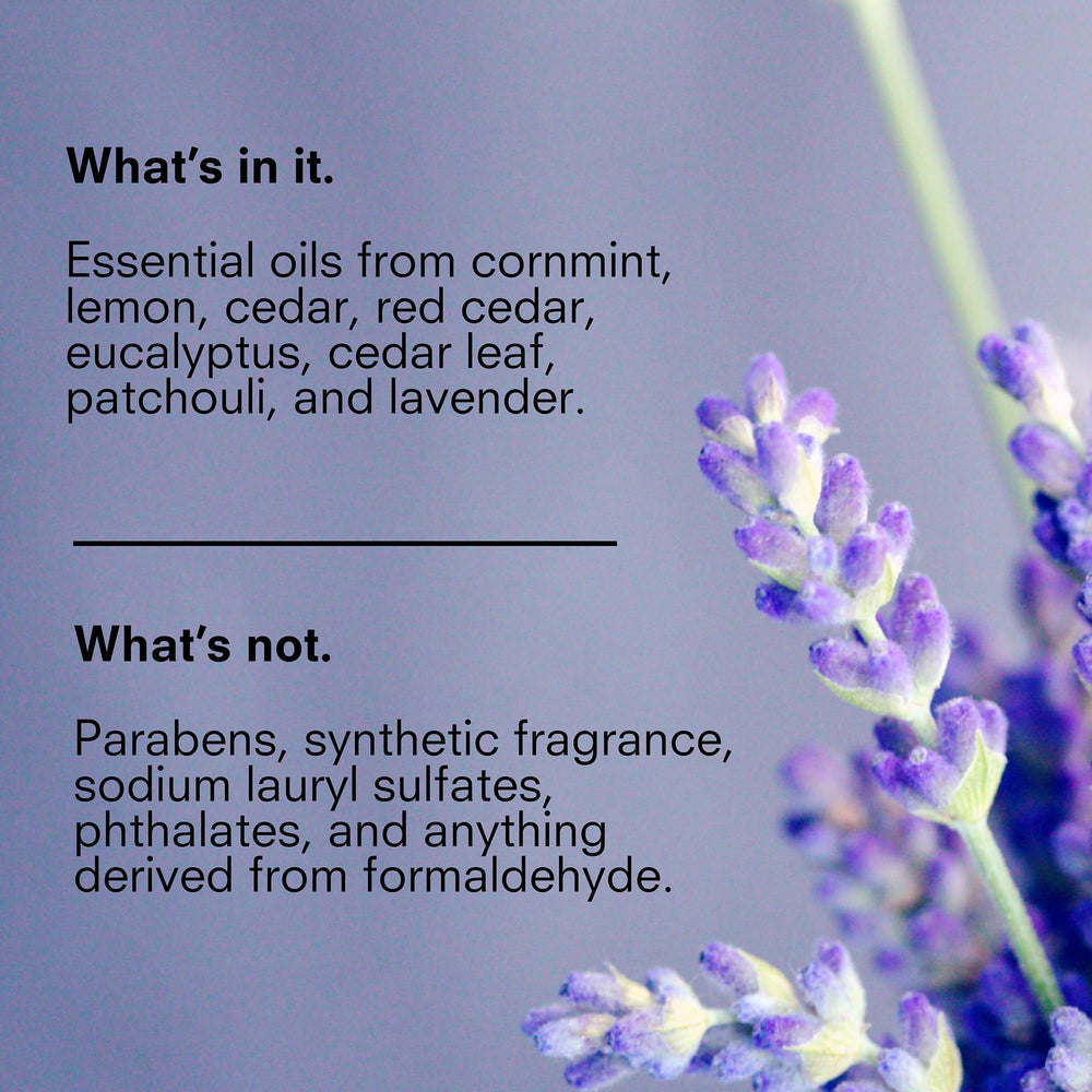 Public Goods Body & Hand Lotion hand-application demonstrates quick absorption on skin.
