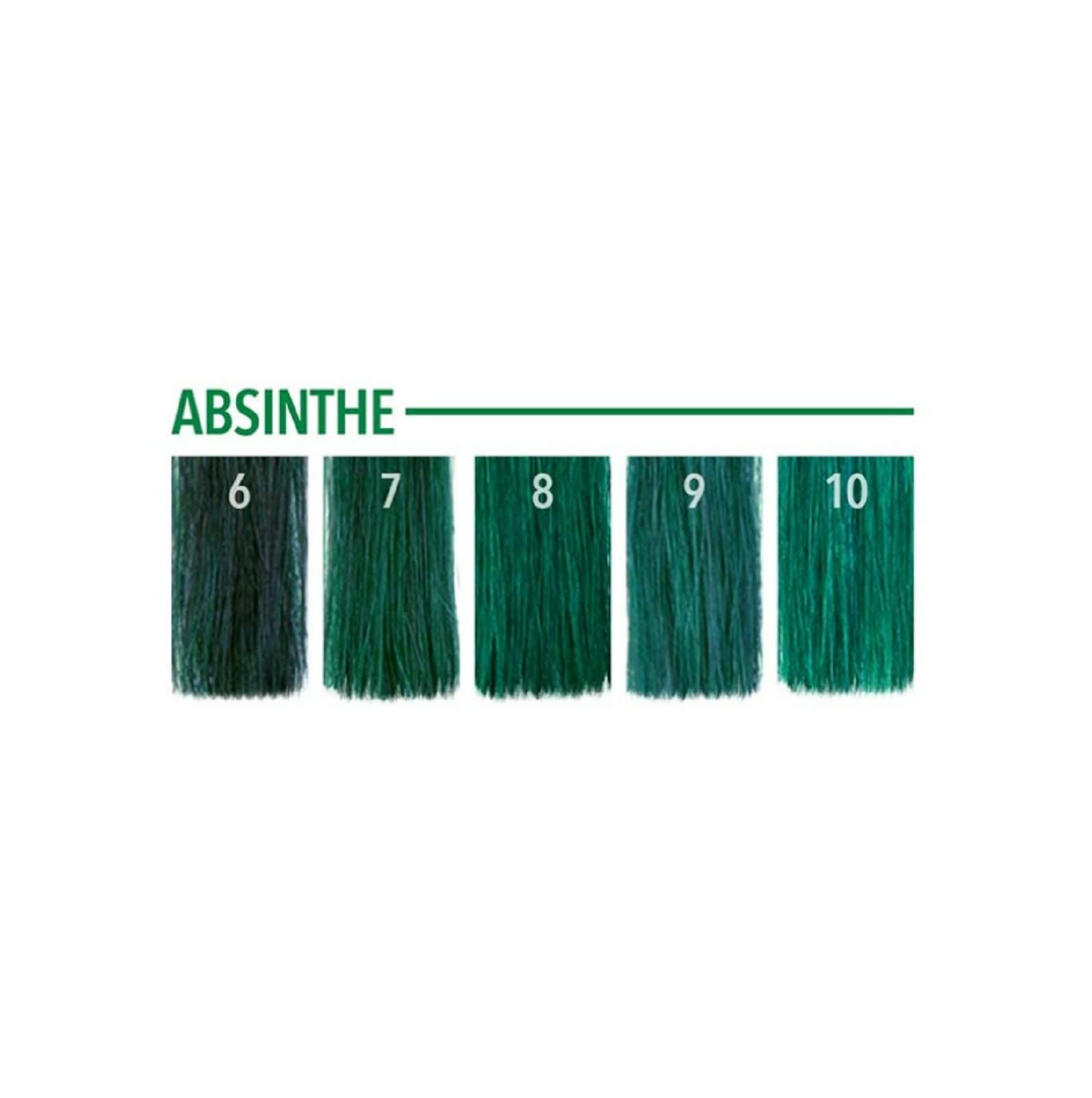 Pulp Riot Absinthe applying direct dye on dry hair for saturation