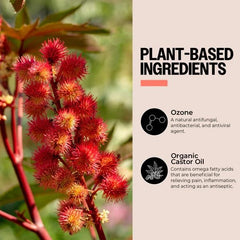PurO3 label design closeup conveys organic, ozone-infused nourishment