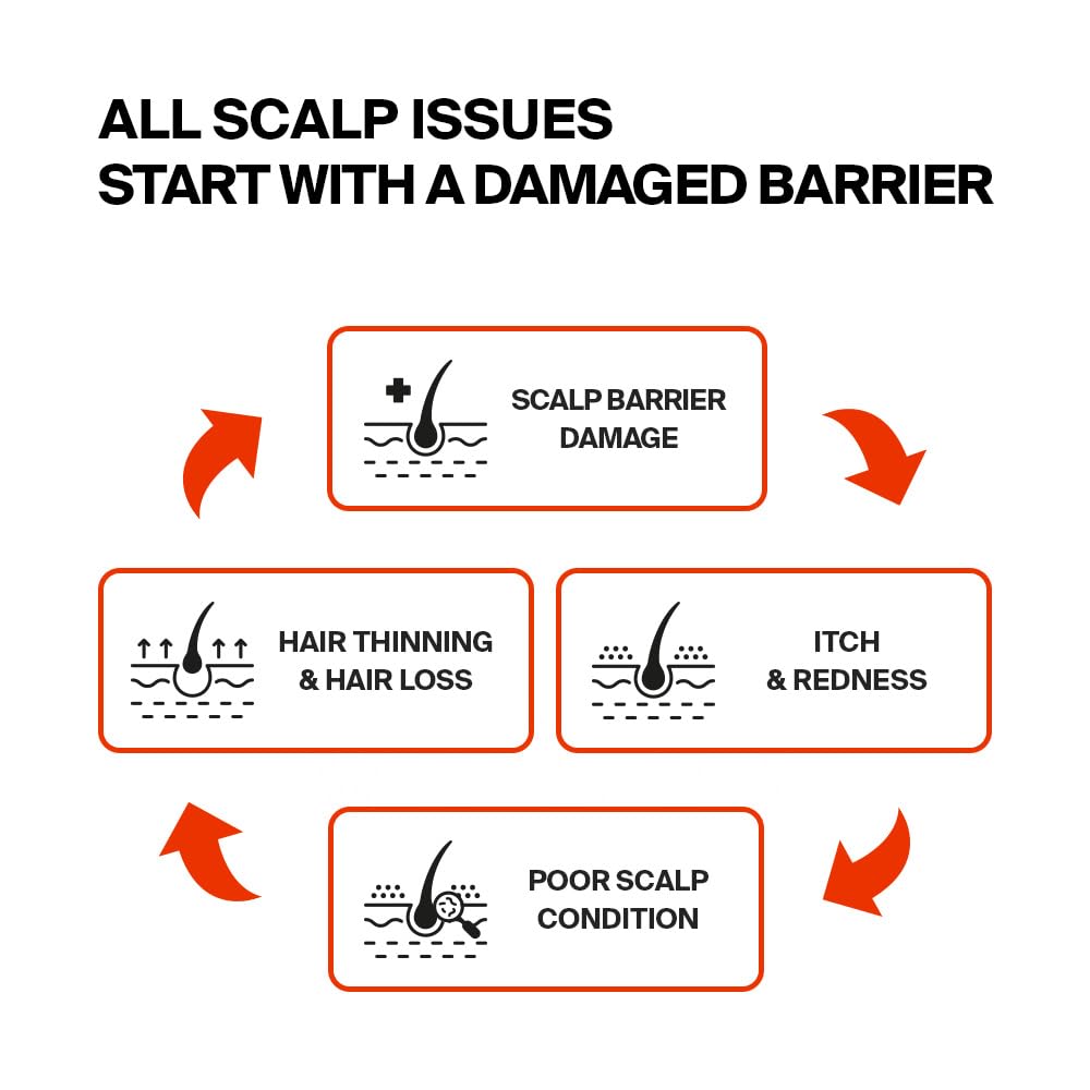 PURCELL Pixcell Biom application drops on scalp suggest quick, targeted nourishment.