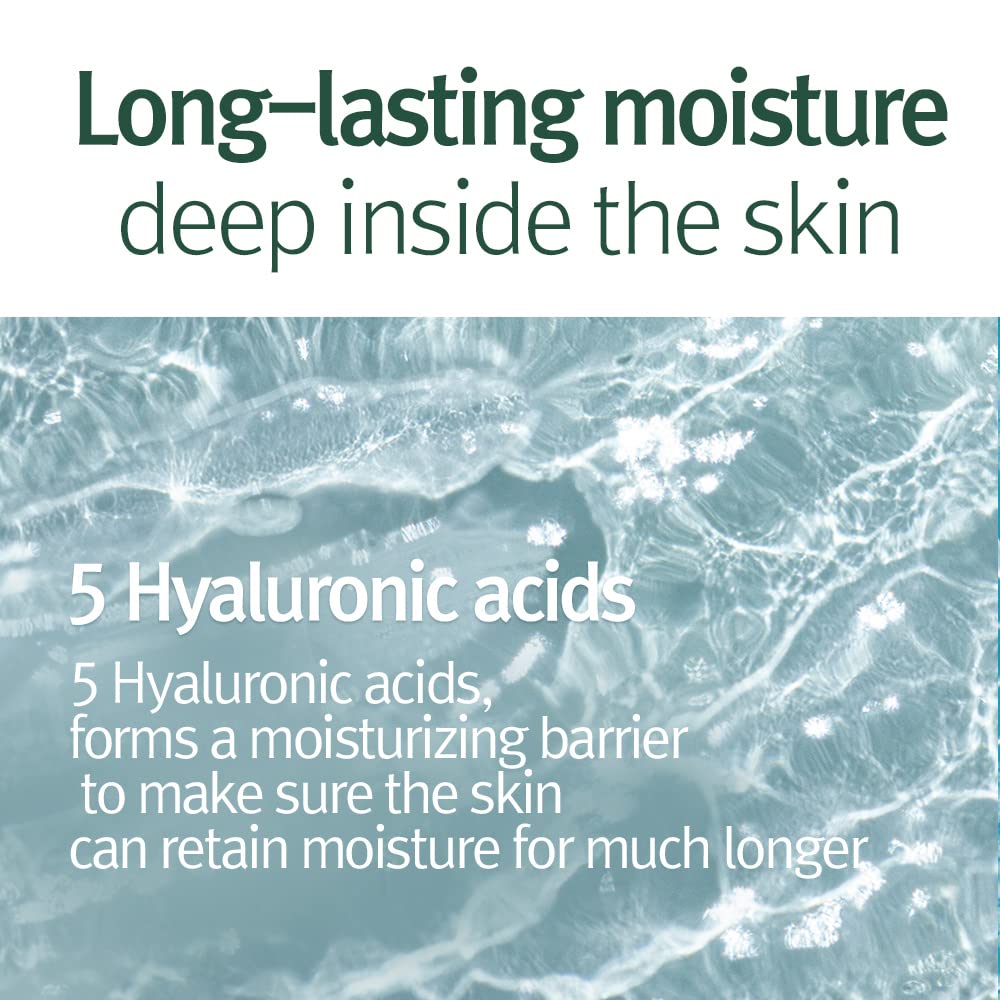 Pyunkang Yul mugwort imagery hints natural soothing botanicals for skin.