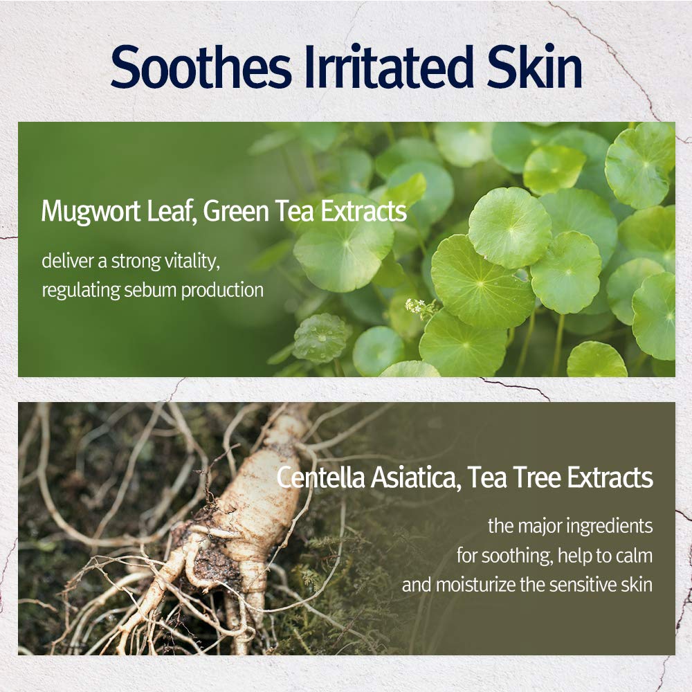 Pyunkang Yul PKY mask ingredients icons summarize antioxidants and peptides.