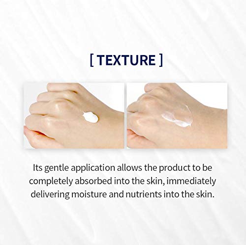Pyunkang Yul PKY Intensive Repair Cream ceramide-layer concept communicates barrier reinforcement.