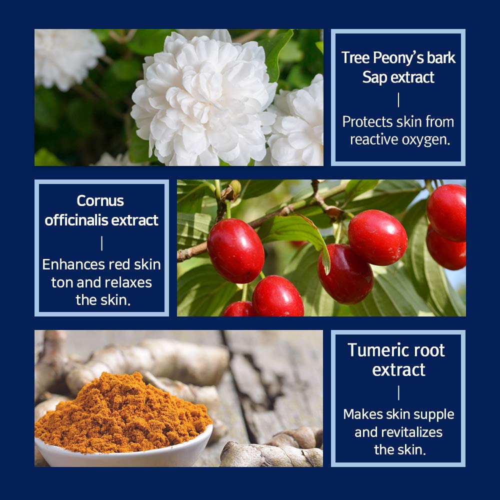 Pyunkang Yul PKY Intensive Repair Cream macadamia oil droplets imply nourishing oils.