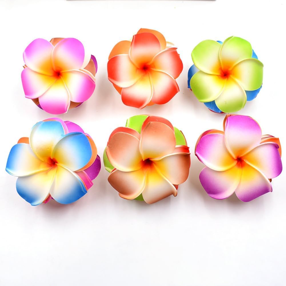 Qintreesify plumeria clip full set display vibrant island colors
