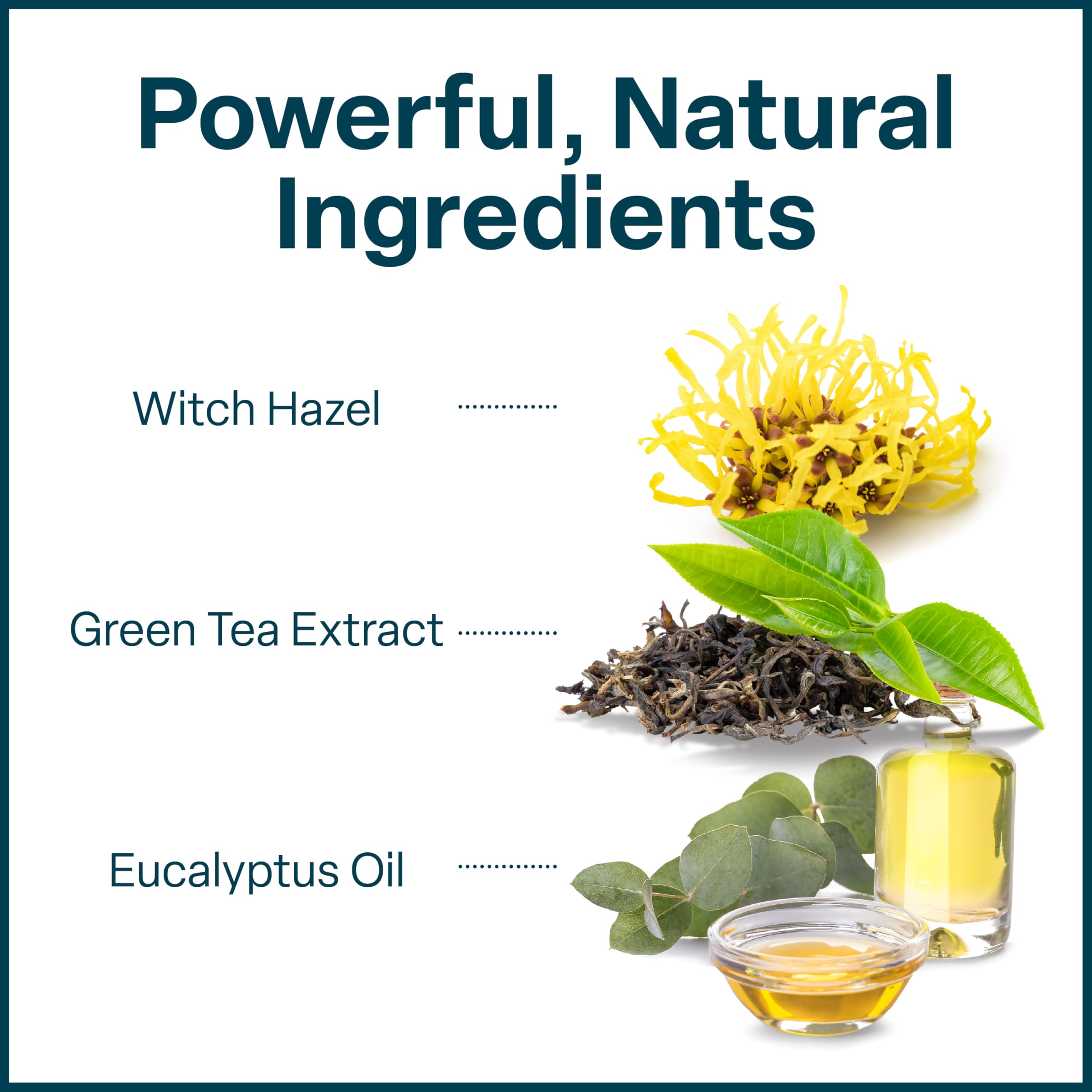 QRxLabs green tea extract in skincare supports soothing, antioxidant protection.