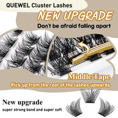 QUEWEL cluster lashes with C/D curl 8-16mm versatile styling