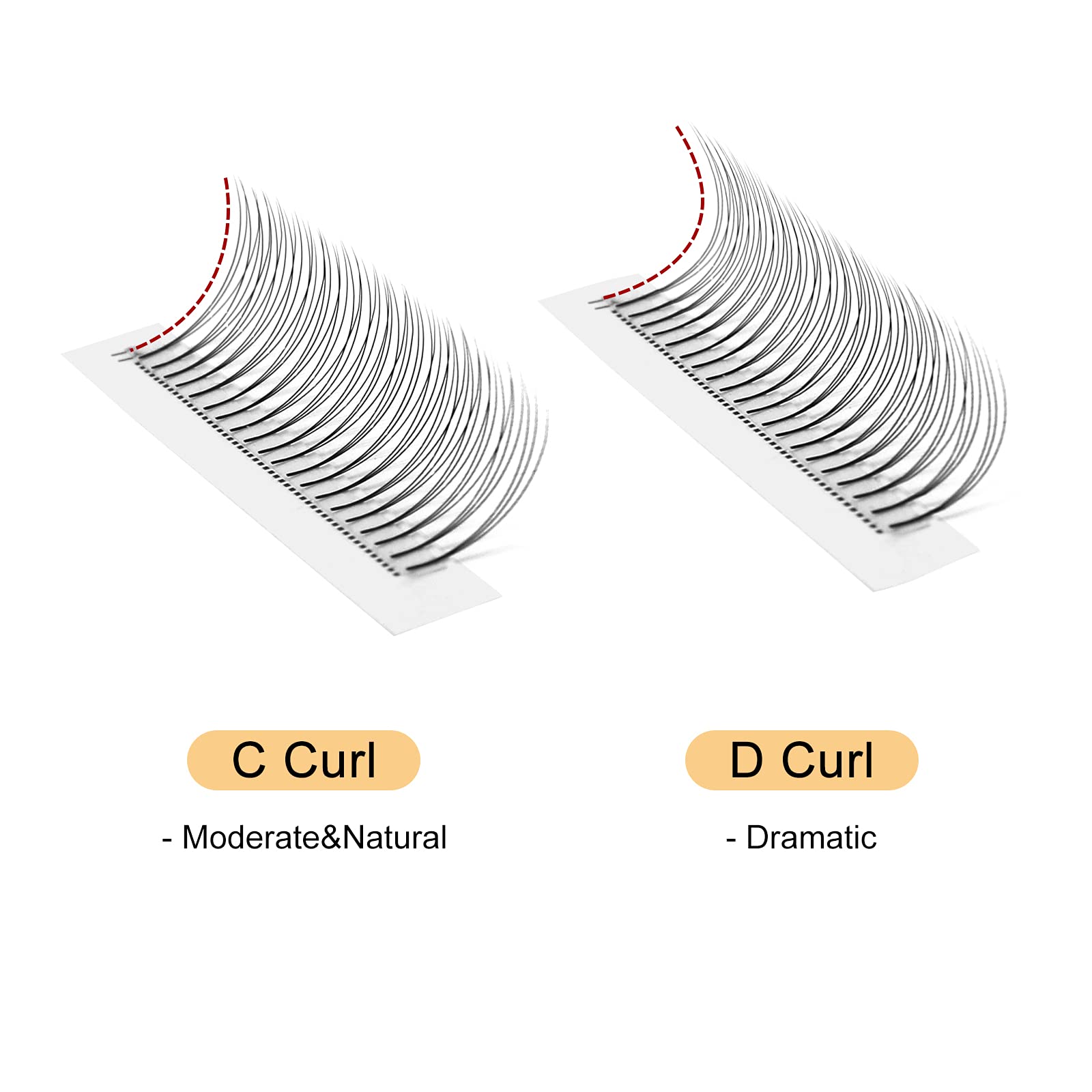 QUEWEL 3D 0.10mm C curl premade fans close-up showing matte base