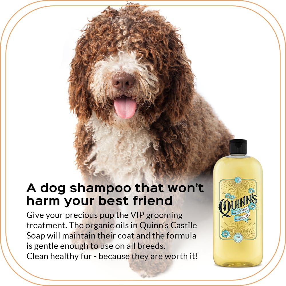 Quinn's Pure Castile unscented used as shampoo and facial cleanser.