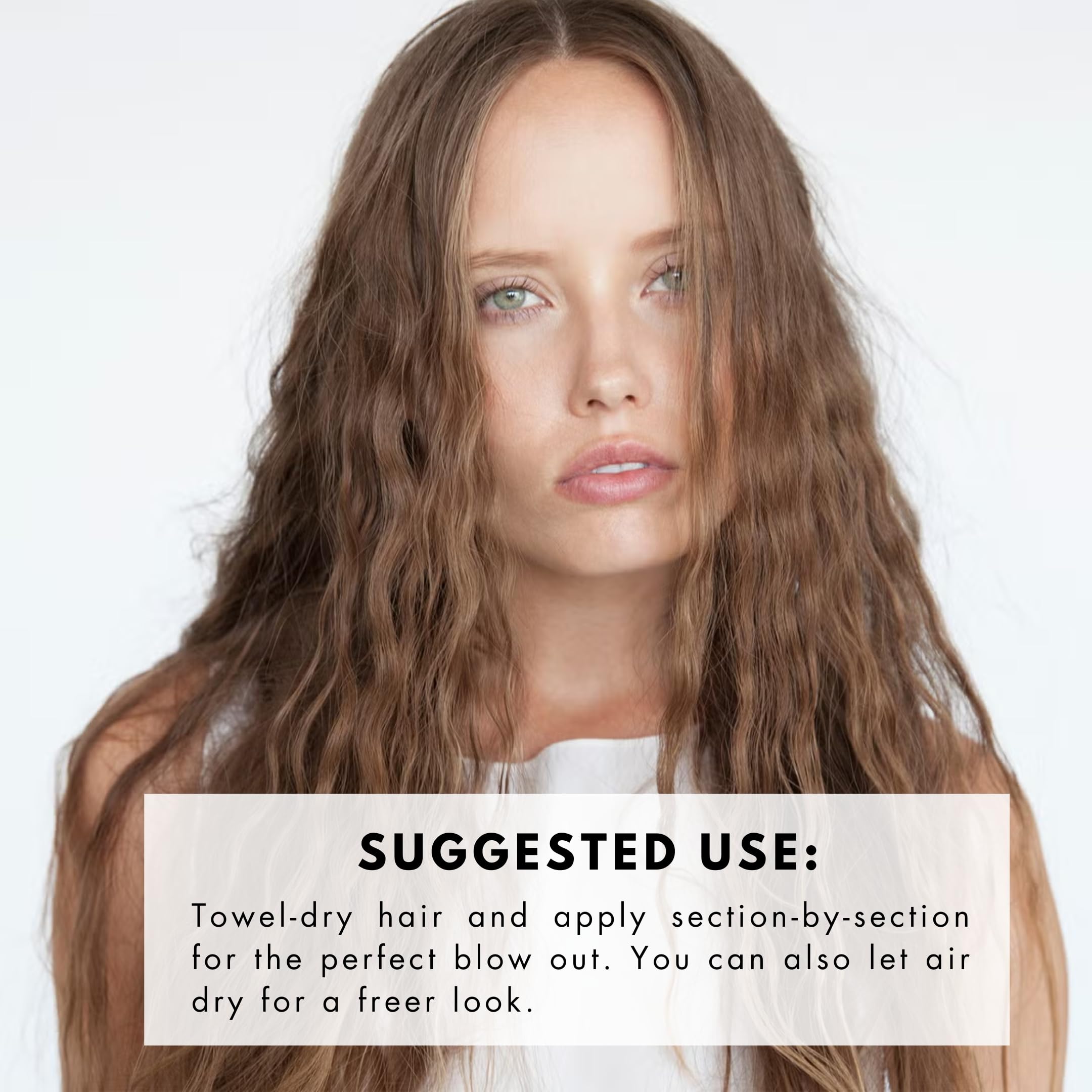R+Co Chiffon Styling Mousse ingredients graphic emphasizes Abyssinian oil for moisture