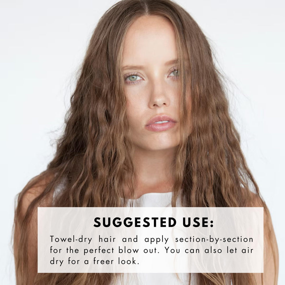 R+Co Chiffon Styling Mousse ingredients graphic emphasizes Abyssinian oil for moisture