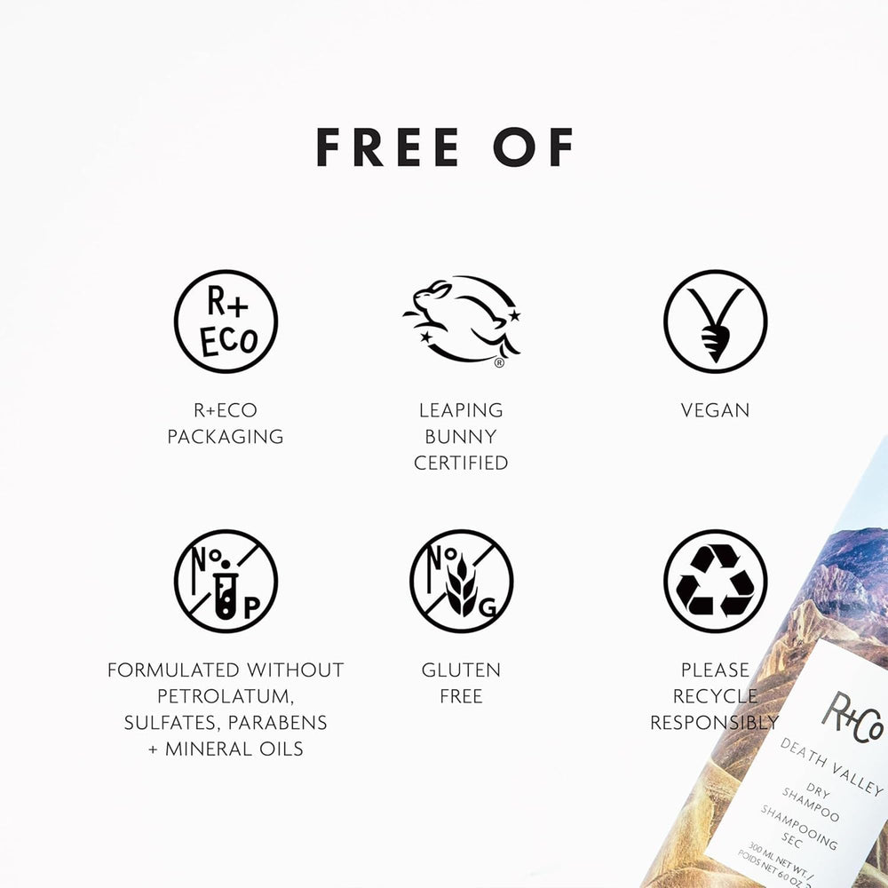 R+Co Death Valley Dry Shampoo powder application boosts texture
