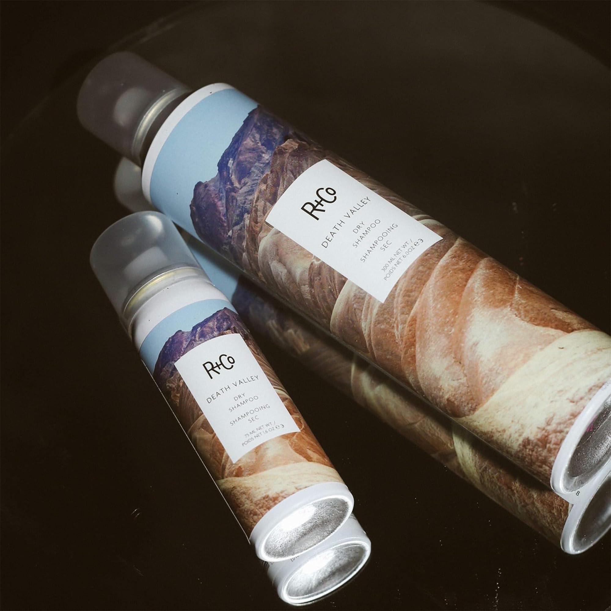 R+Co Death Valley Dry Shampoo texture added to hair for movement