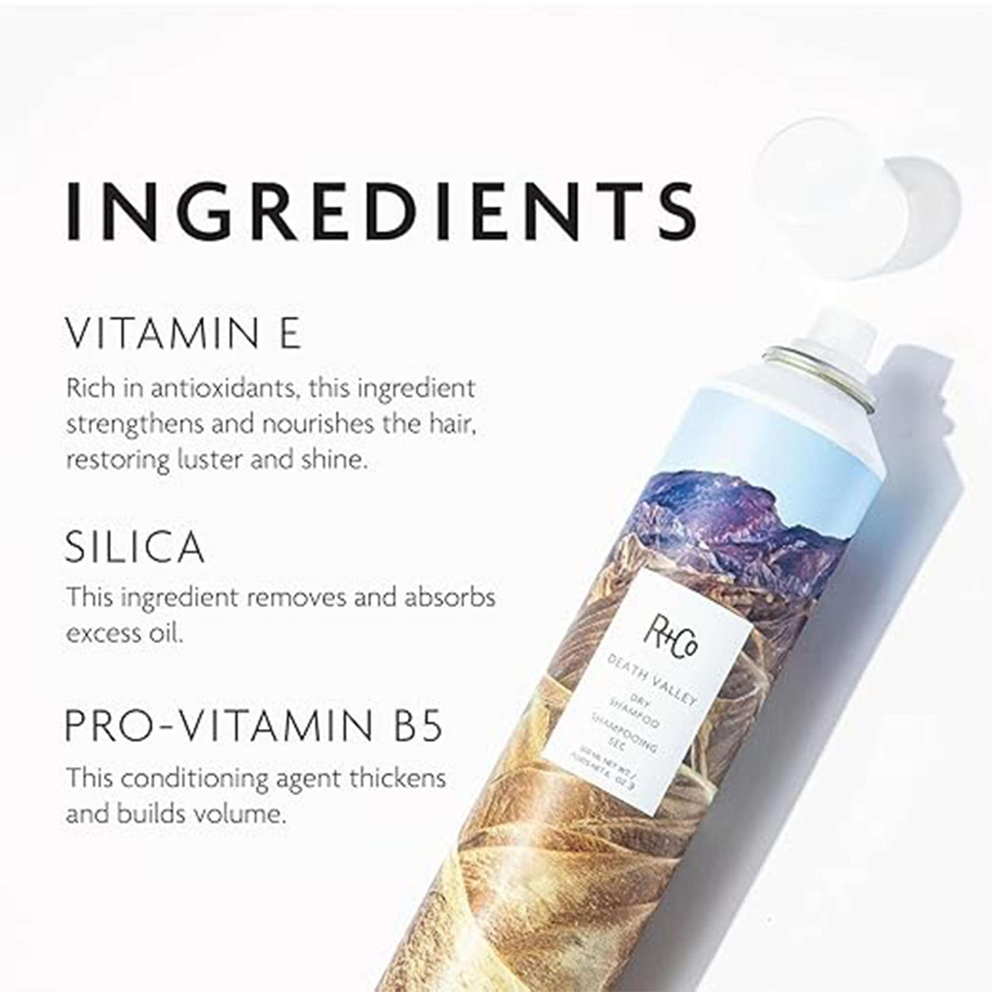 R+Co Death Valley Dry Shampoo volume boost at the crown