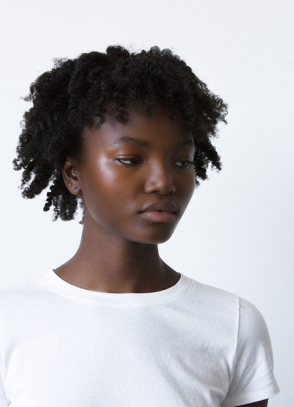 Hands applying High Dive to damp hair for smoothing results.