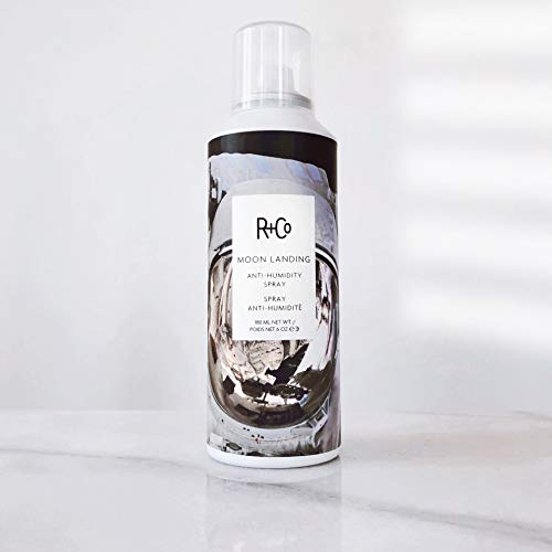 R+Co Moon Landing frizz control shot shows humidity blocking before styling