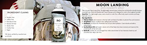 R+Co Moon Landing hair closeup highlights frizz reduction and smooth strands