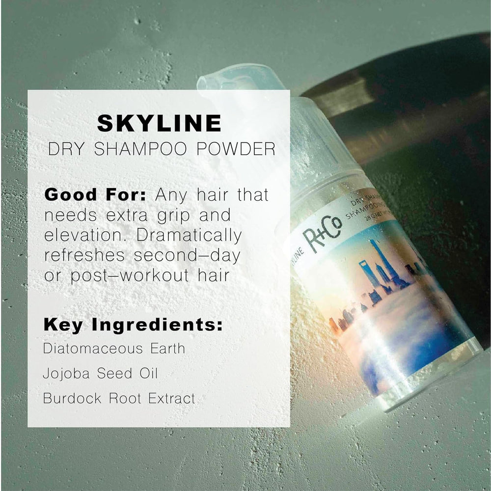 R+Co Skyline dry shampoo powder precise-application targets roots for controlled refresh