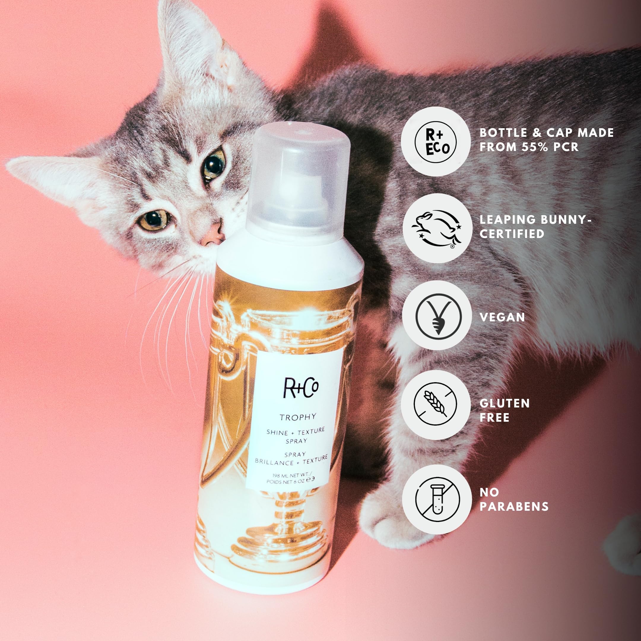 Shine finish from R+Co Trophy Shine + Texture Spray without weighing hair down