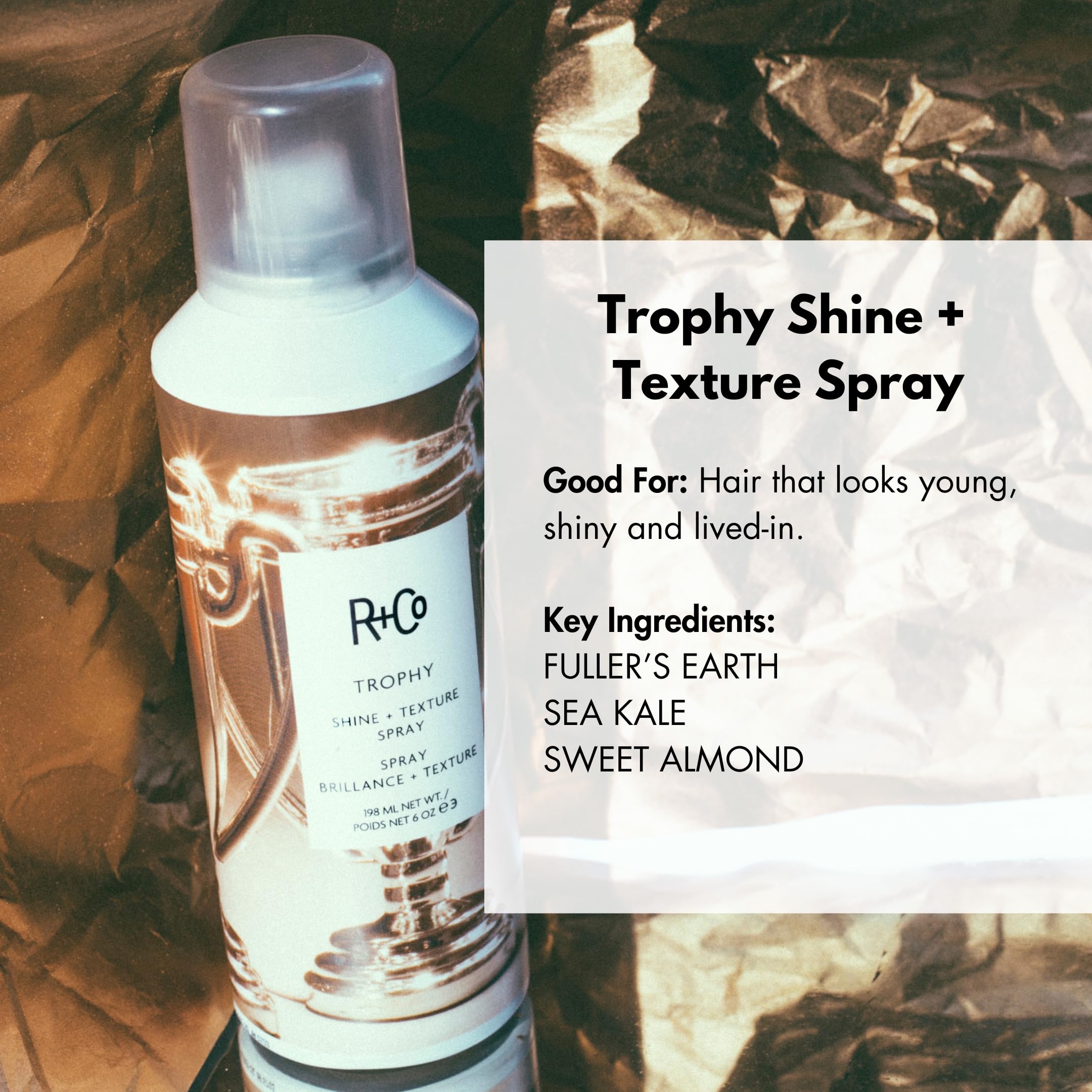 Close-up of R+Co Trophy Shine + Texture Spray mist for flexible hold