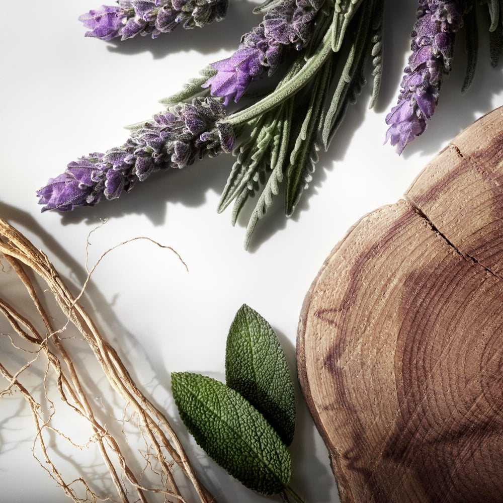 Virginia Cedarwood texture close-up evokes warm, woody base.