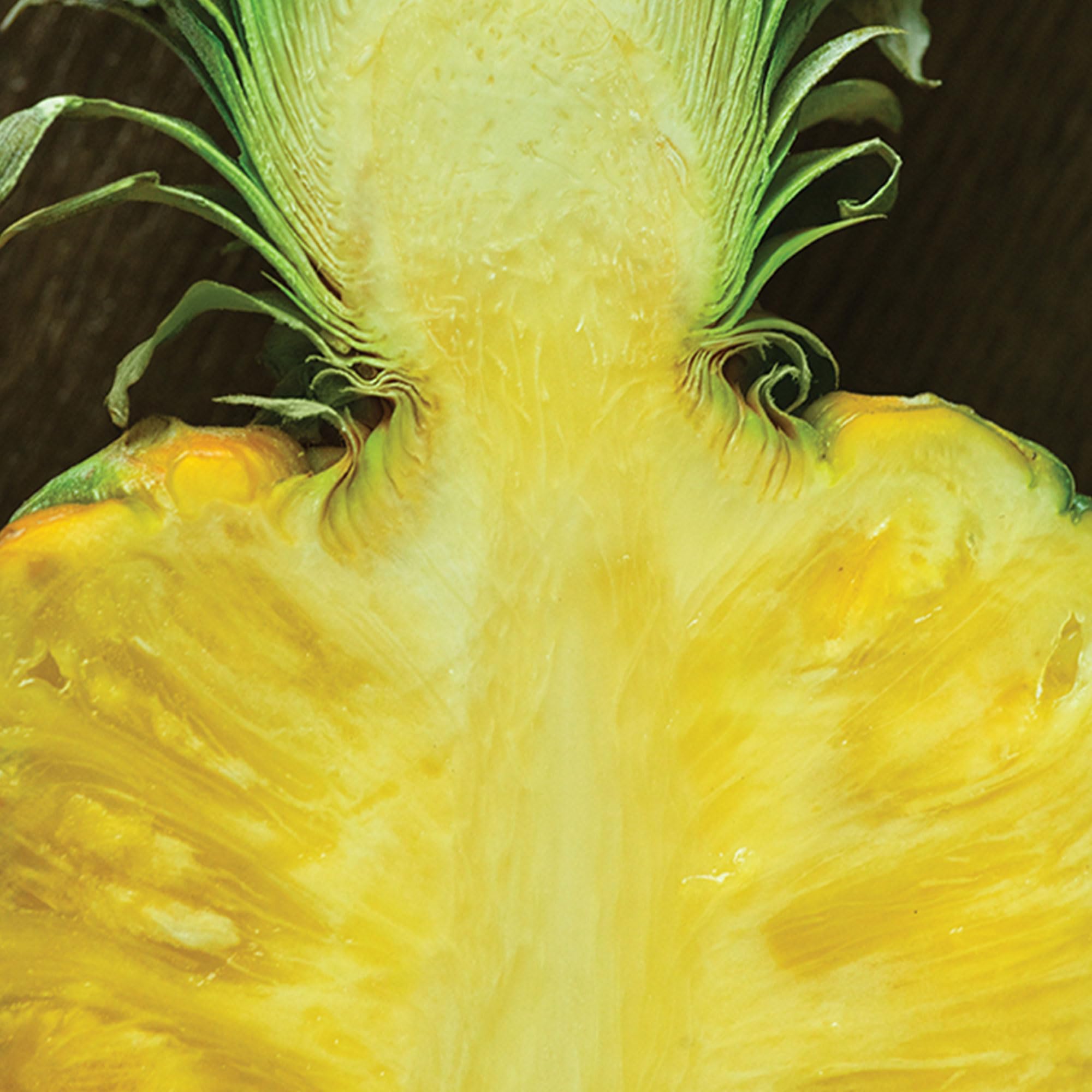Pineapple and bergamot blend in Polo 67 for vibrant daytime energy.