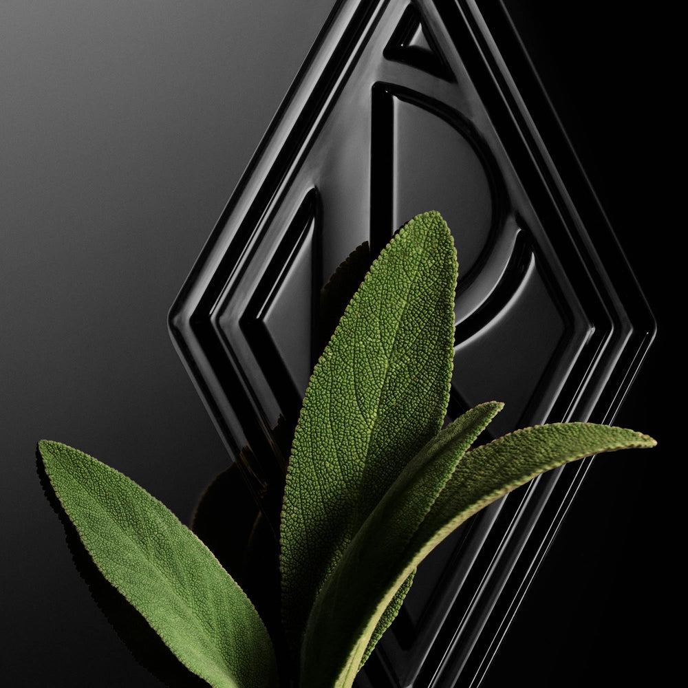Provincial Sage and Lavandin bring herbal depth