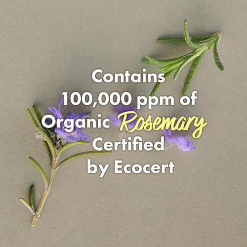 RATED GREEN organic cold brew charcoal image highlights purifying detox with natural ingredients.