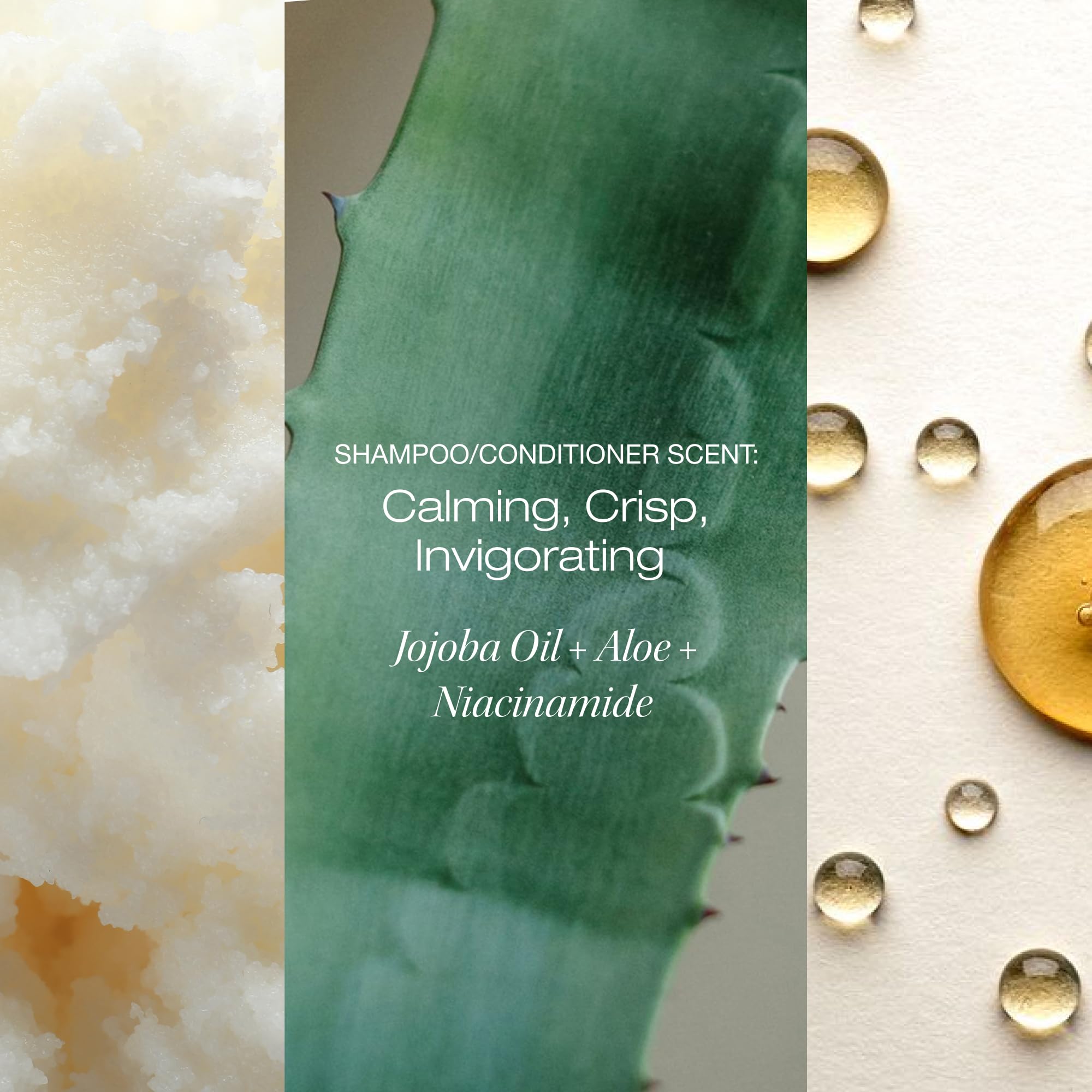 RAW SUGAR shampoo lather close-up suggests clarifying cleanse and fresh-feeling hair.