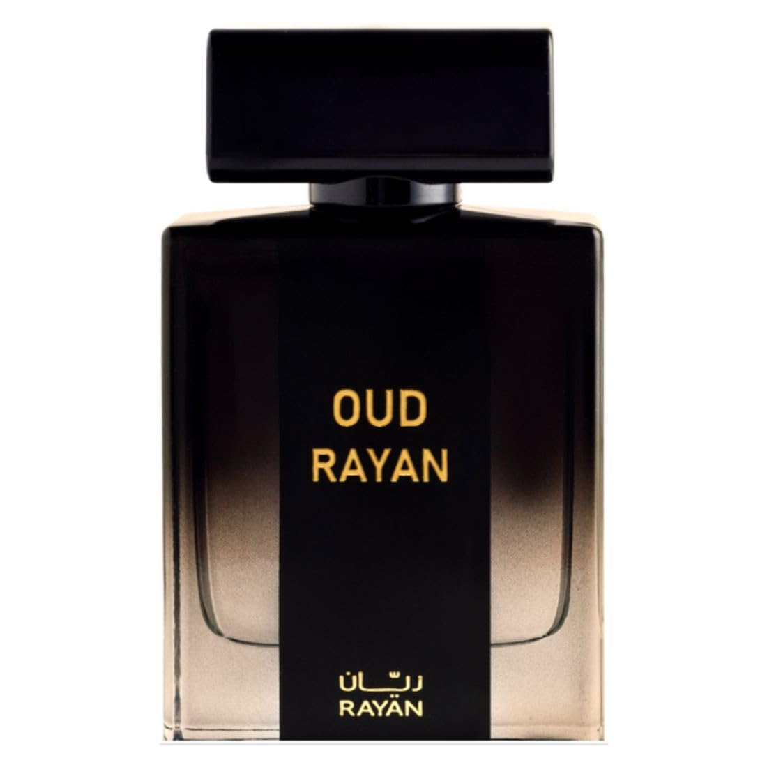 RAYAN Modern Oud perfume bottle highlights premium masculine scent for daily confidence.