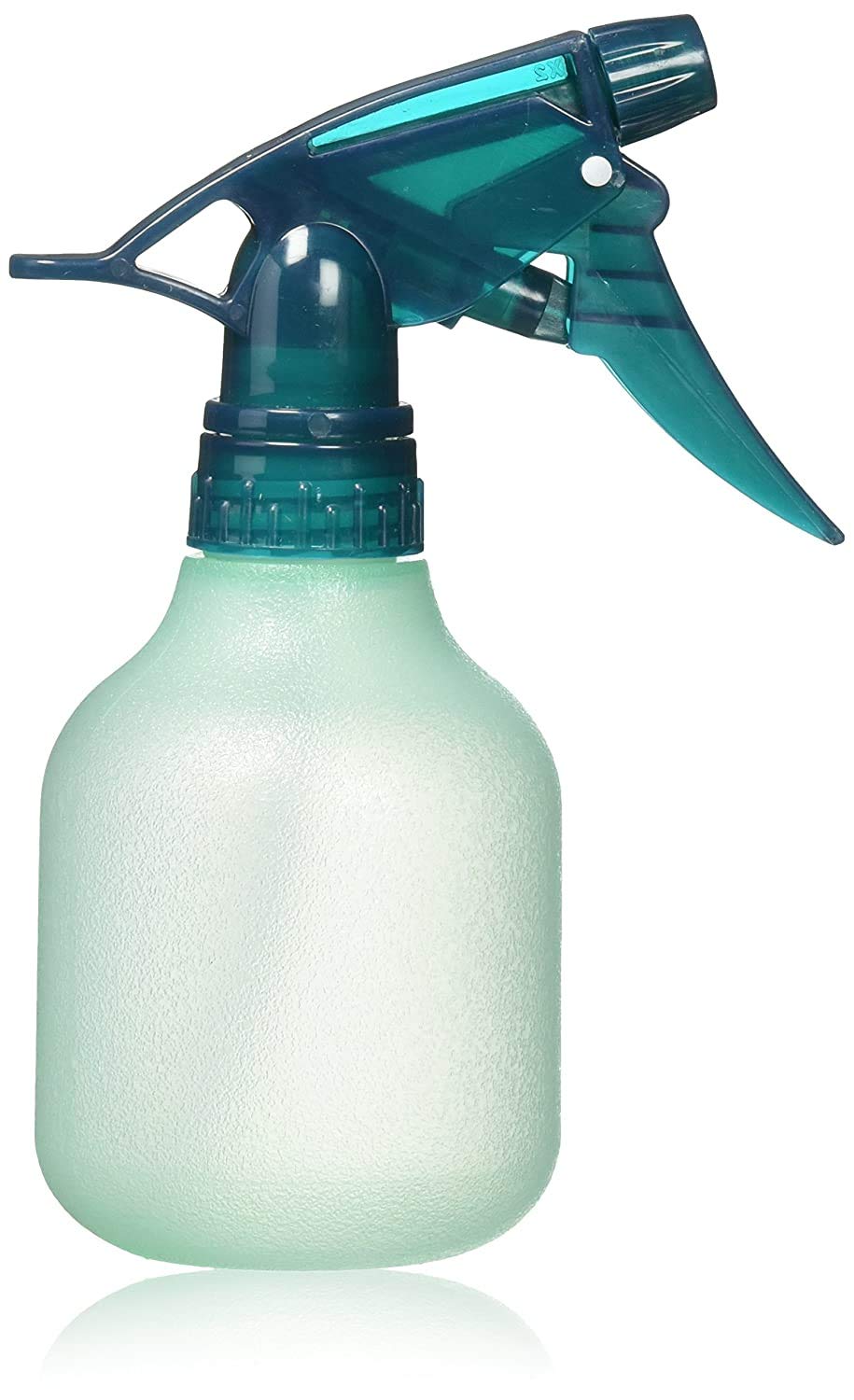Rayson empty spray bottle with fine mist for hair styling and plant care.