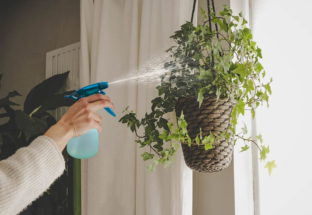 Rayson pet shower spray provides light, controlled rinsing for pets.