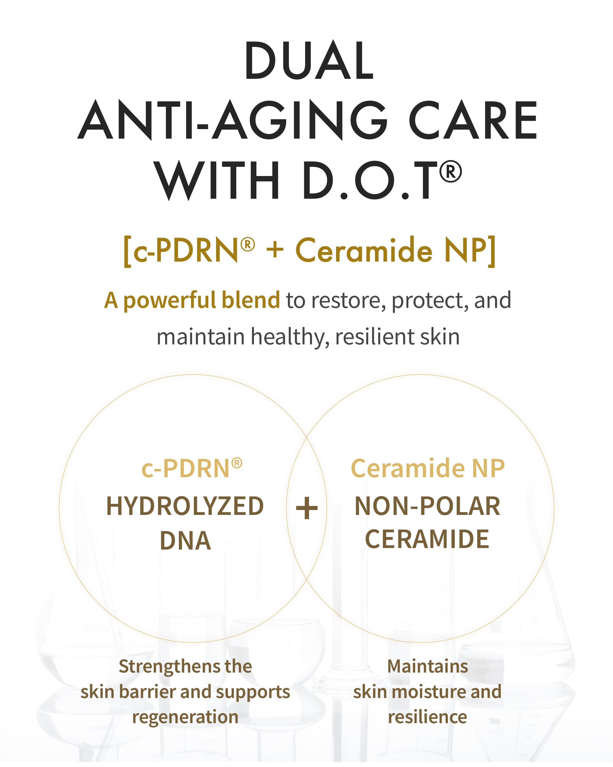 REJURAN Dual Effect Ampoule night care for regeneration-friendly steps