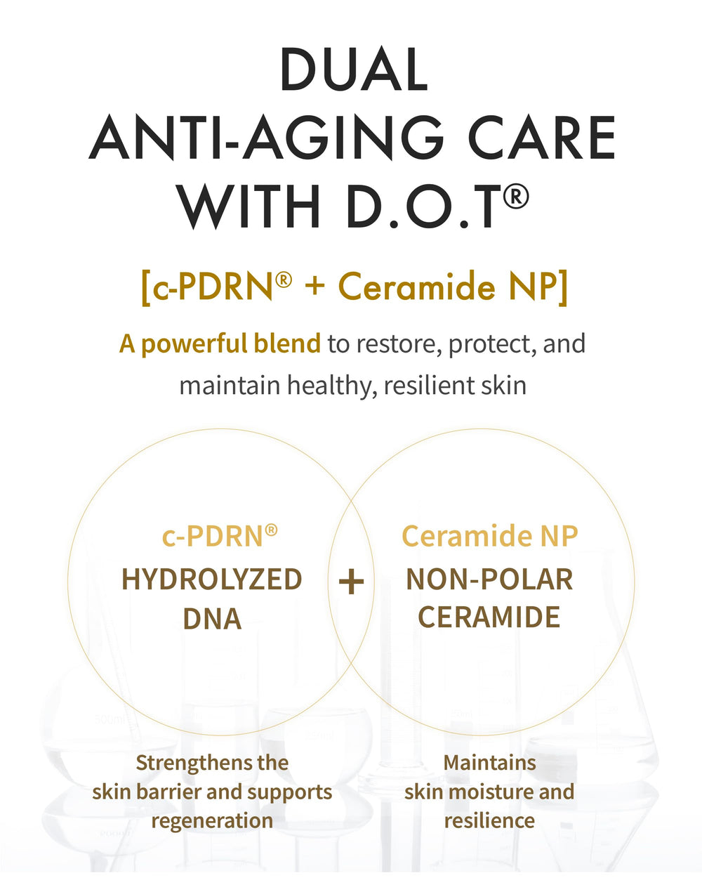 REJURAN Dual Effect Ampoule night care for regeneration-friendly steps
