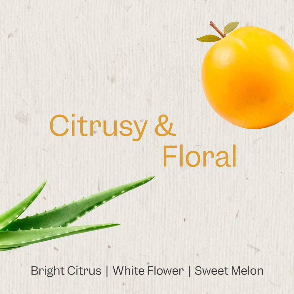 Renpure marula oil aloe shampoo seal-cuticle finish for shiny frizz-controlled strands.