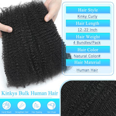 Renyarch Afro Kinky Bulk 16inch color swatches help blend with natural hair.