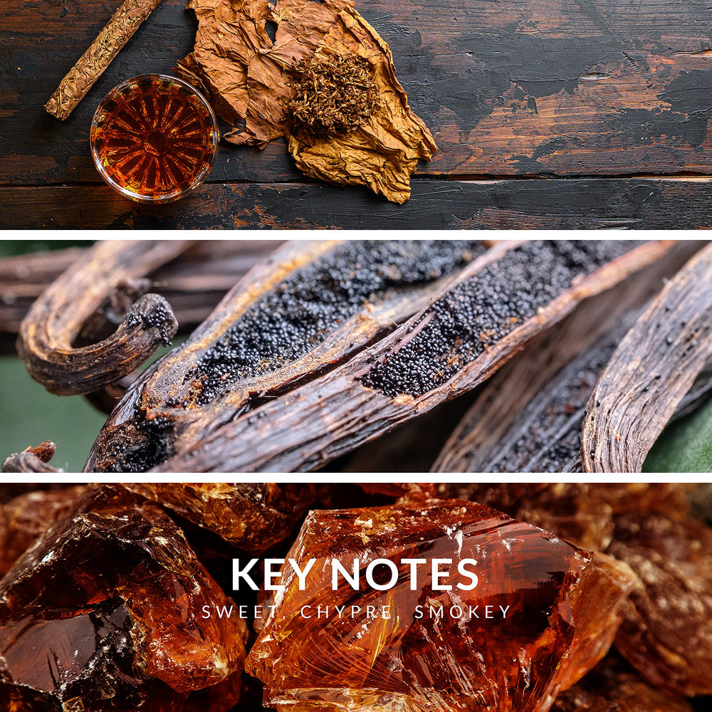 Reyane Tradition Insurrection collection on shelf, easy gift-ready option.