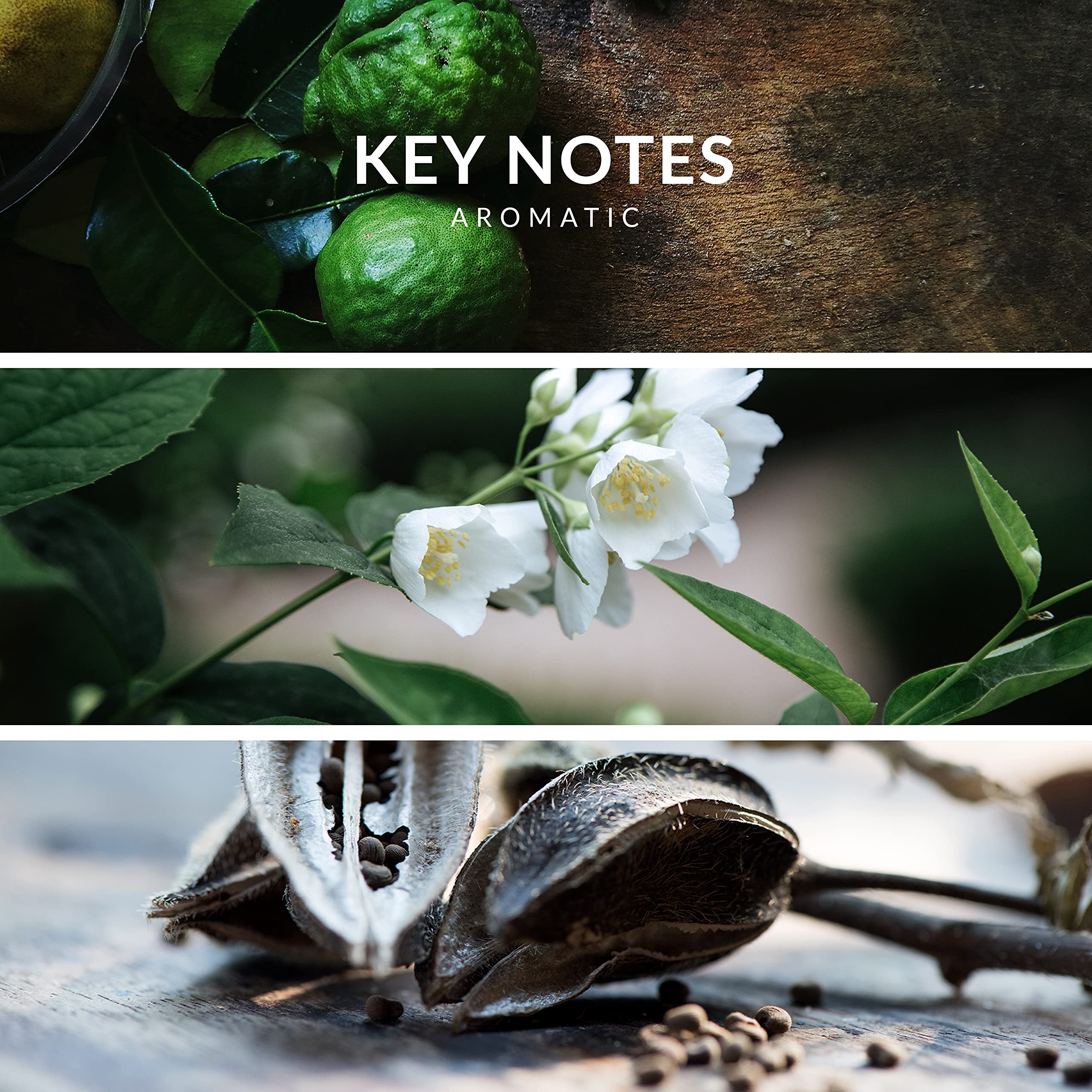 Reyane Tradition Insurrection Pure ingredients visual hinting vanilla, musk, amber notes