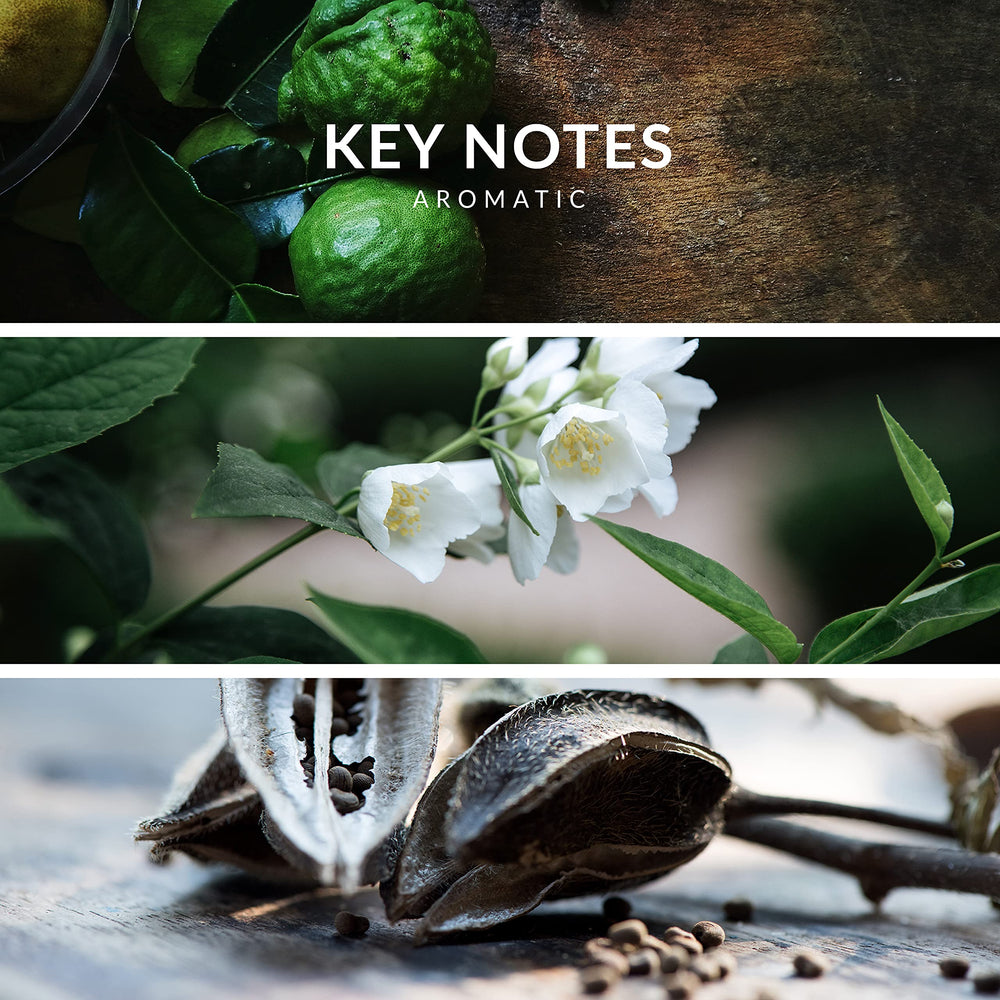 Reyane Tradition Insurrection Pure ingredients visual hinting vanilla, musk, amber notes