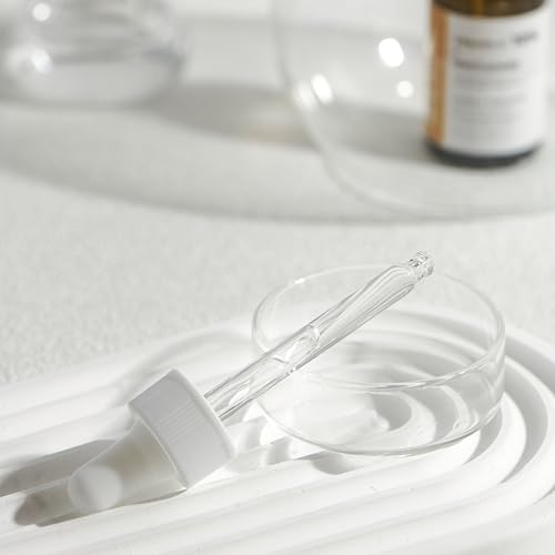 ROLANYIN Packaging front box showcases compact, travel-friendly design.